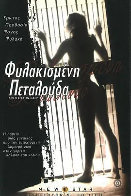 灰色蝴蝶封面图