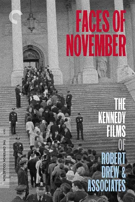 十一月的面孔封面图