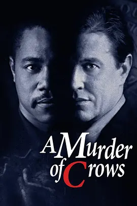 乌鸦谋杀案封面图
