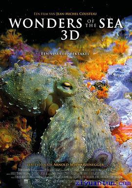 奇妙的海洋封面图