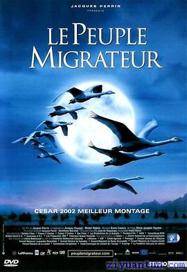 迁徙的鸟封面图