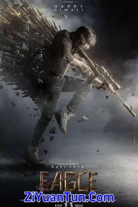 鹰封面图