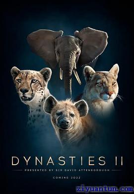 王朝 第二季封面图