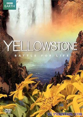 黄石公园封面图