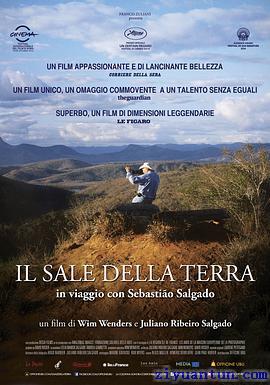 地球之盐封面图