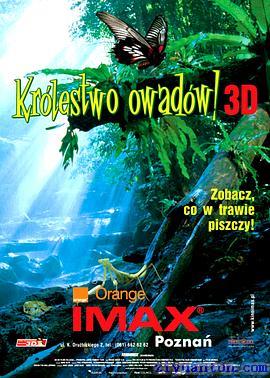 虫子：热带雨林冒险封面图