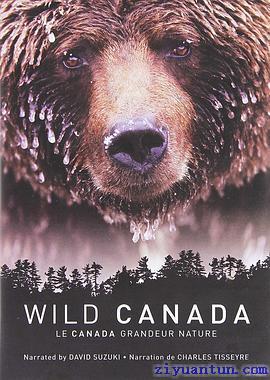 野性加拿大封面图