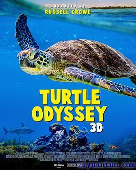 龟女士的奥德赛封面图