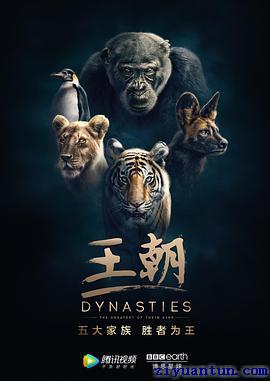 王朝 第一季封面图