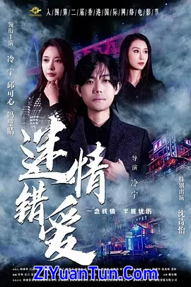 迷情错爱封面图