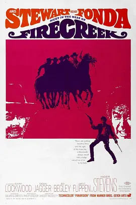 霹雳双虎将封面图