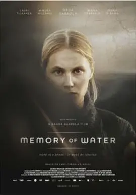 水的记忆封面图