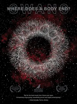 尸体在何处终结？封面图