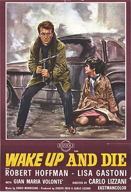 唤醒与杀戮封面图