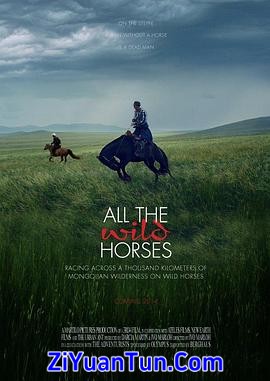 All the Wild Horses封面图