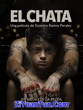 El Chata封面图