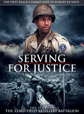 为正义服务：第 333 野战炮兵营的故事封面图