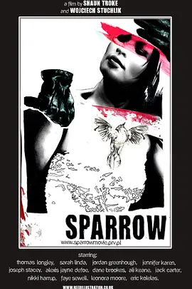 Sparrow封面图