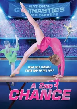 第二次机会封面图