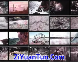 The Legend of Bigfoot封面图