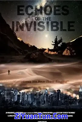 Echoes of the Invisible封面图