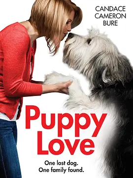 Puppy Love封面图