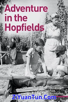 Adventure in the Hopfields封面图