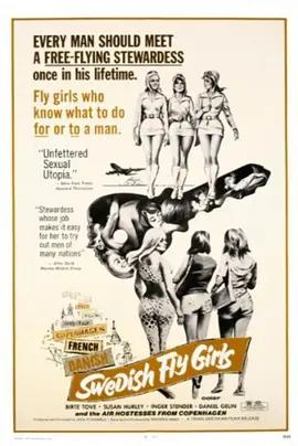 克里斯塔：瑞典飞女封面图