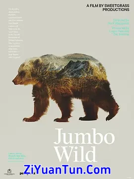 Jumbo Wild封面图