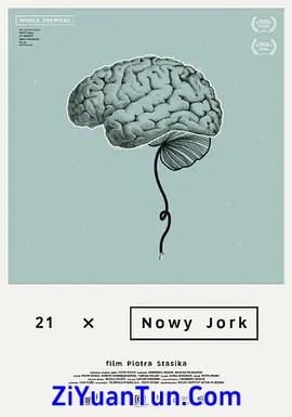 21世纪的纽约封面图