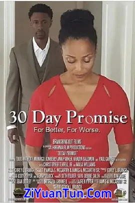 30 Day Promise封面图