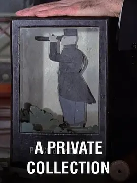 私人收藏封面图