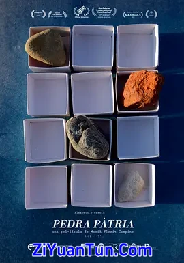 Pedra pàtria封面图