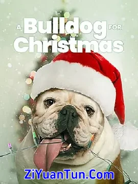 A Bulldog for Christmas封面图