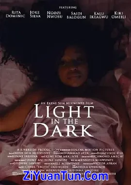 Light in the Dark封面图