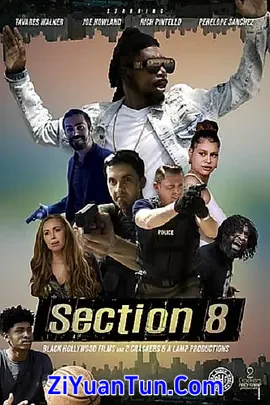 Section 8封面图