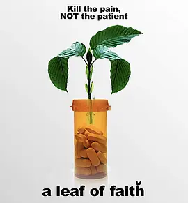 A Leaf of Faith封面图