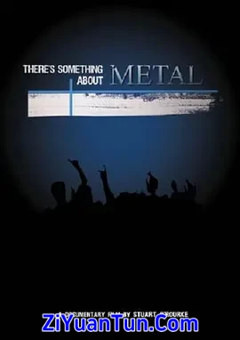 There's Something About Metal封面图