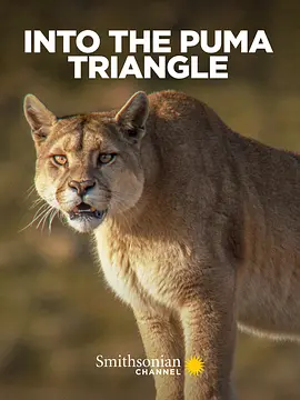 Into the Puma Triangle封面图