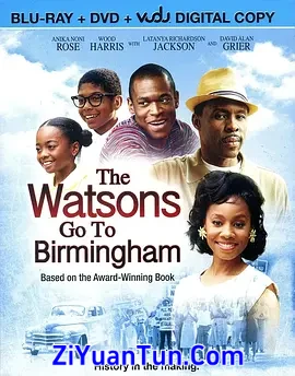 The Watsons Go to Birmingham封面图