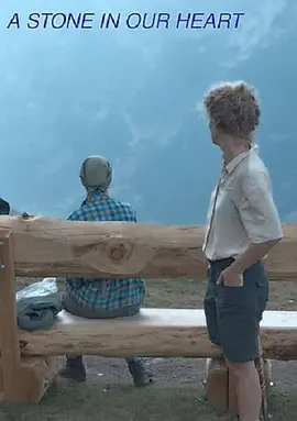 A Stone in Our Heart封面图