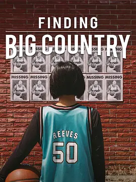 Finding Big Country封面图
