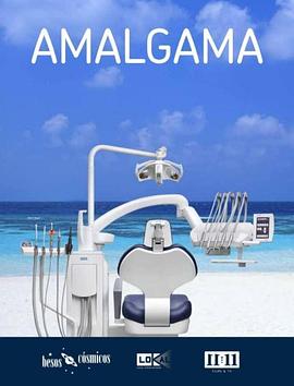 Amalgama封面图
