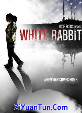 White Rabbit封面图