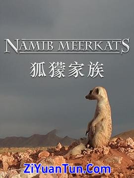 狐獴家族封面图