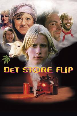 Det Store Flip封面图