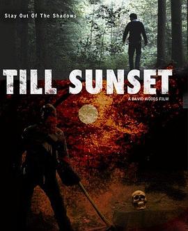 Till Sunset封面图