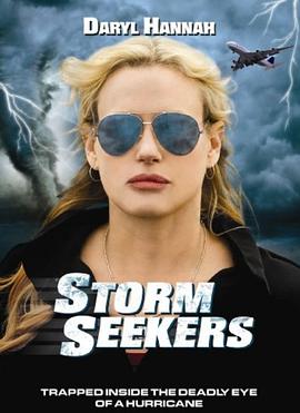 Storm Seekers封面图