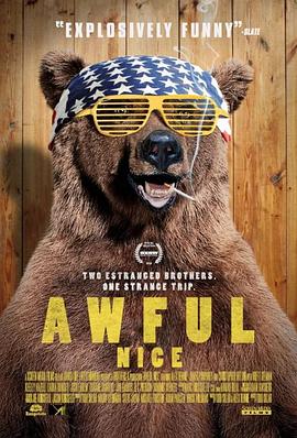 可怕的尼斯封面图