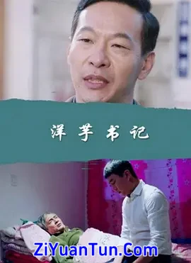 洋芋书记封面图